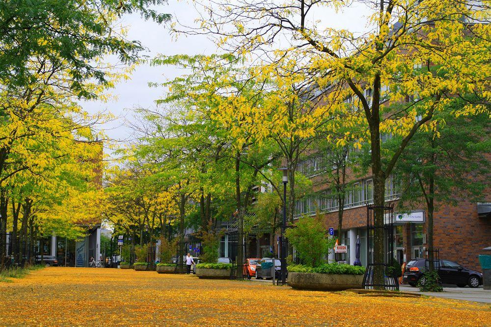 Essen City Suites Kültér fotó